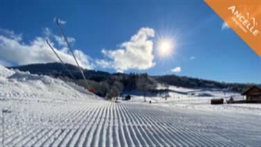 Image for: PASS PLURI-JOURNALIERS